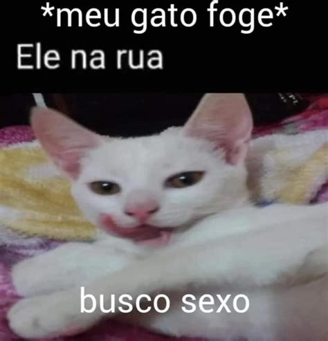 busco sexo|Busco sexo .